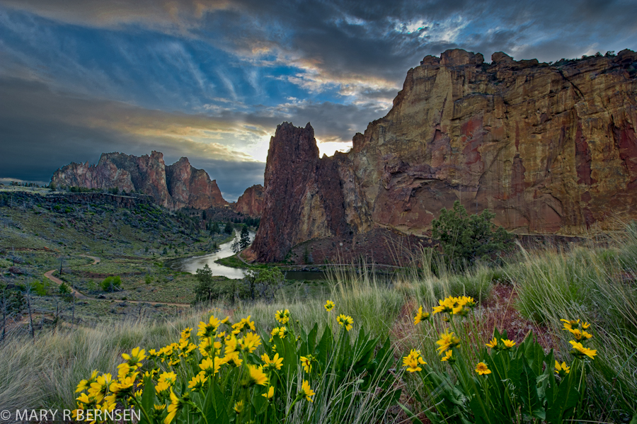 Photo by Mary Bernsen