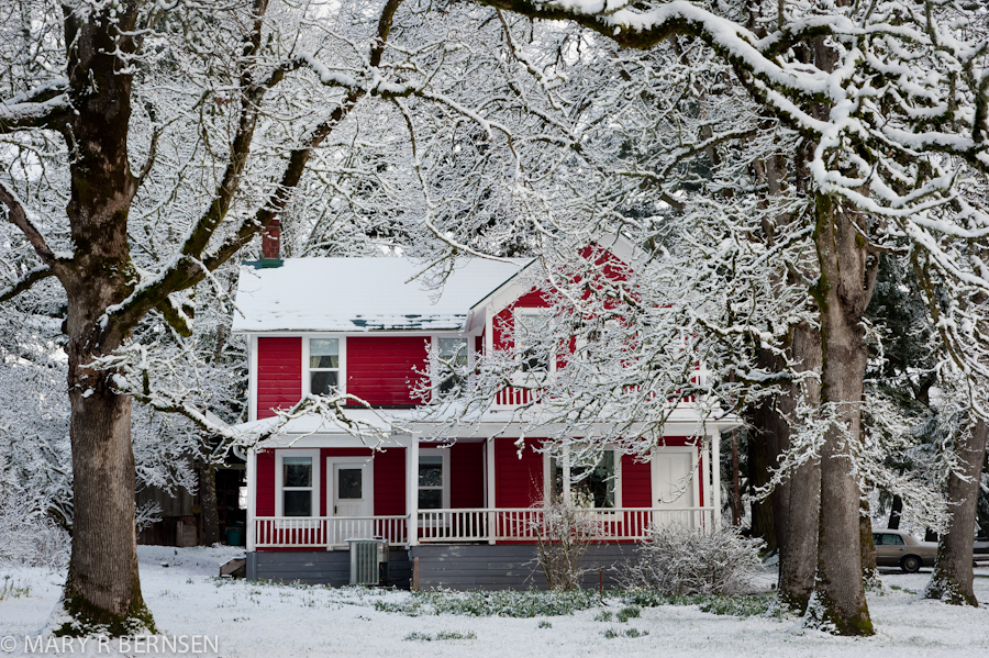 Photo by Mary Bernsen